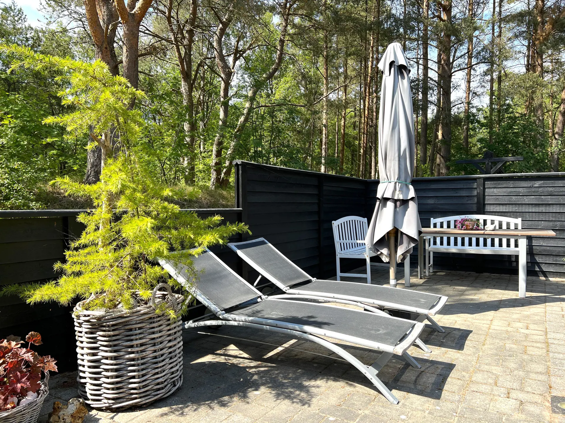 Bild 23 von 26