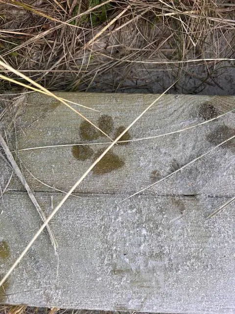 Bild 30 von 41