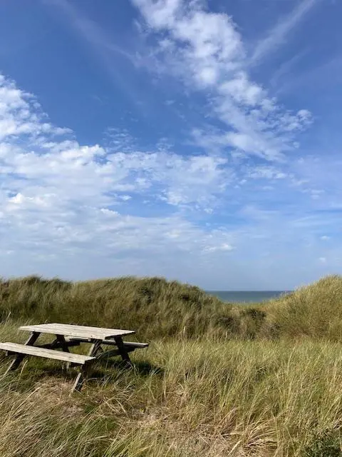 Bild 37 von 41
